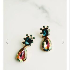 Elizabeth Cole Earrings